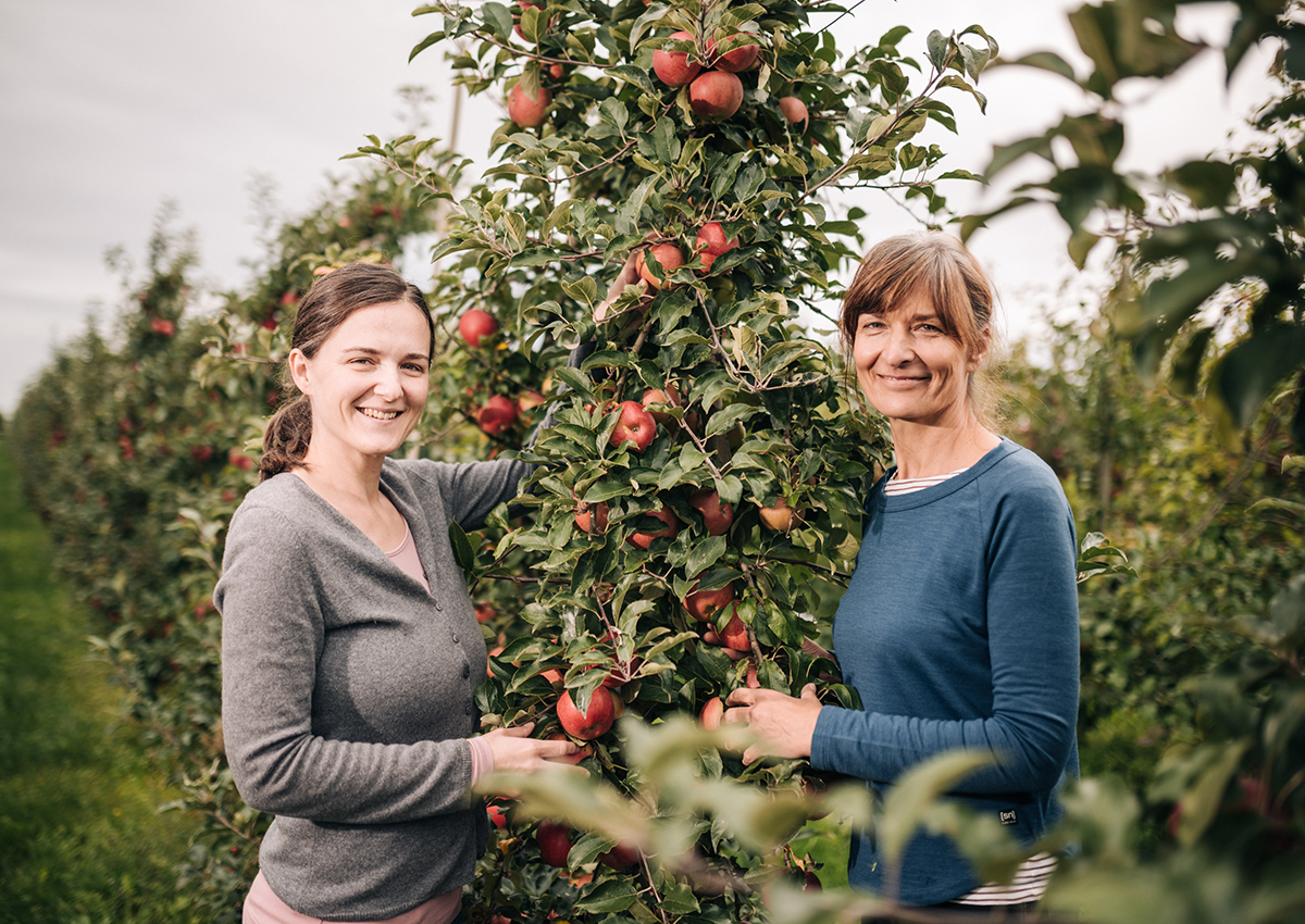 Obstgut Müller aus Wesendahl